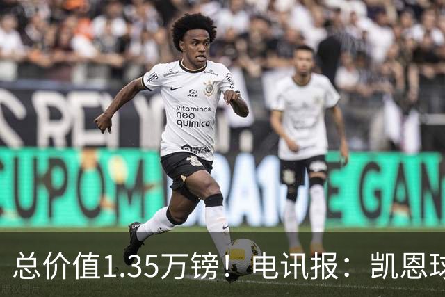 总价值1.35万镑！电讯报：凯恩球鞋被盗，还包括吉祥物和乐高积木